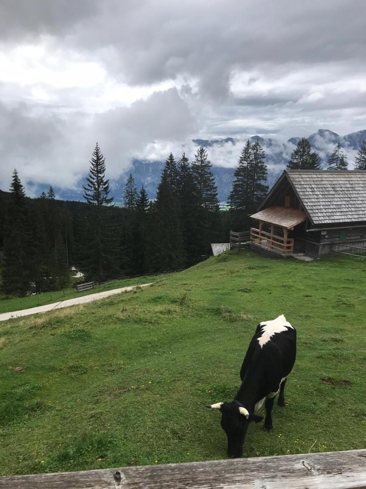 Apartmán Hinterer 2&5 Bedrooms Bad Goisern