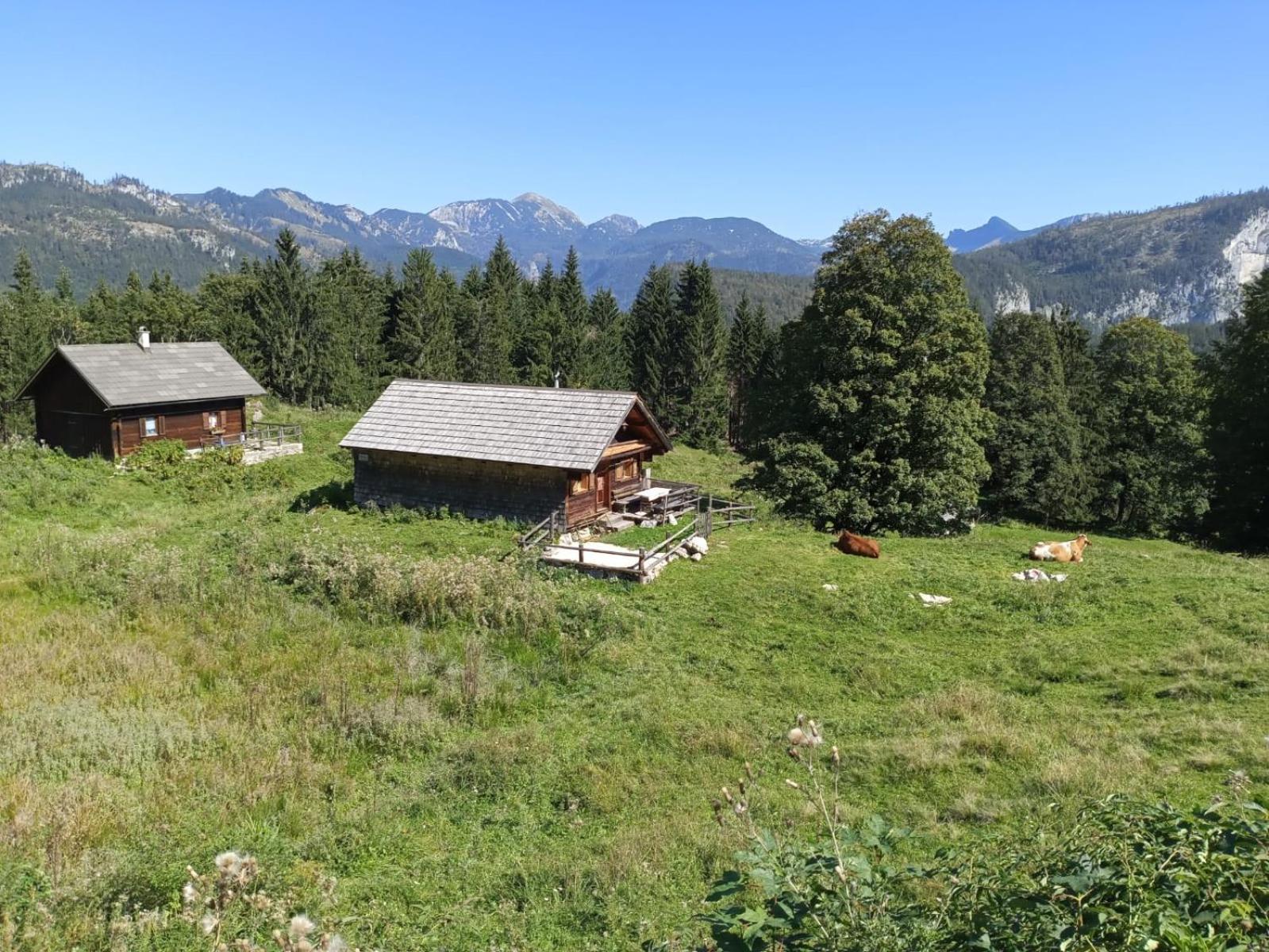 Hinterer 2&5 Bedrooms Apartment Bad Goisern